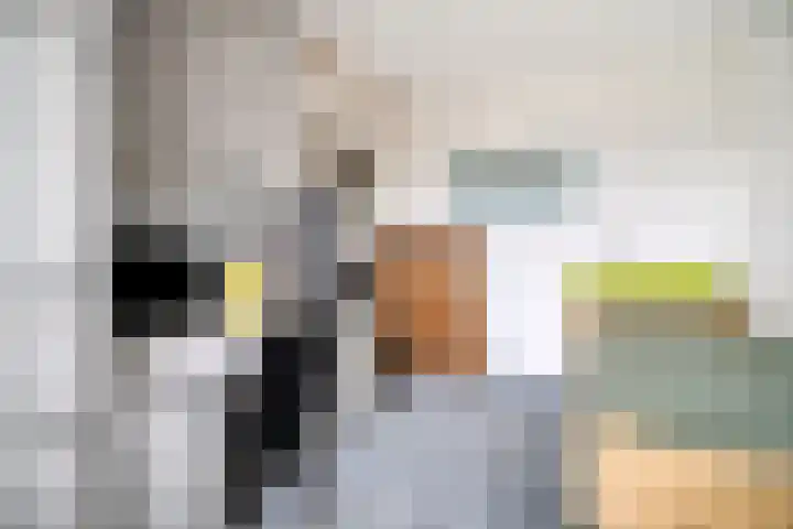 Zalkerbos 218 Zoetermeer thumbnail 33