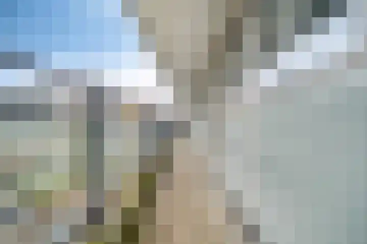 Zalkerbos 218 Zoetermeer thumbnail 34