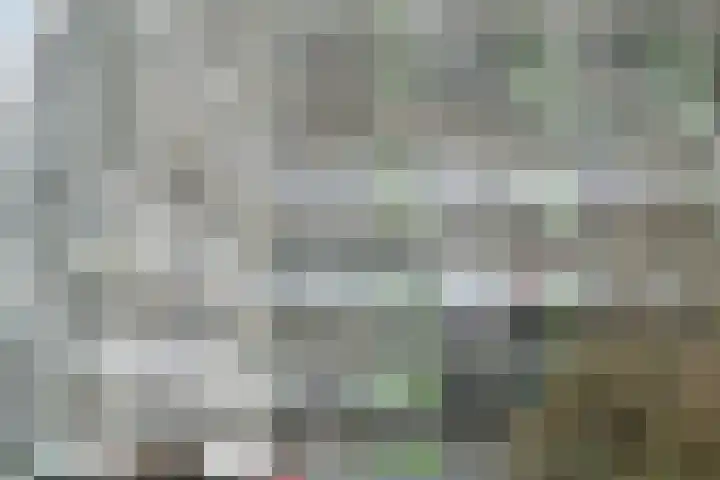 Zalkerbos 218 Zoetermeer thumbnail 38