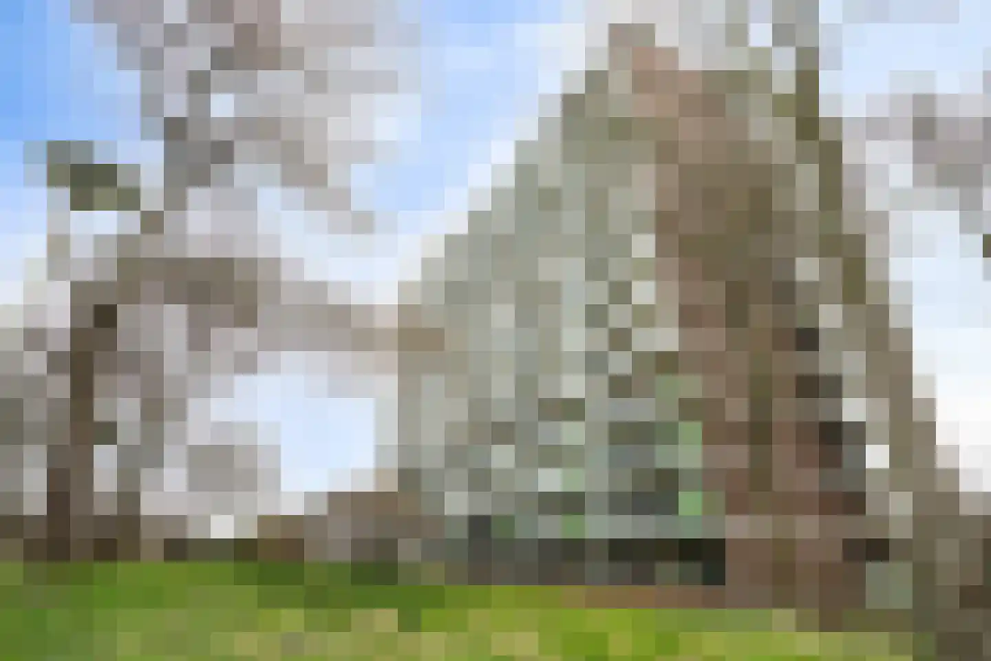 Zalkerbos 218 Zoetermeer thumbnail 38