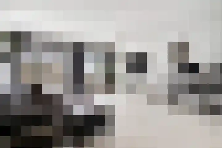Zalkerbos 218 Zoetermeer thumbnail 6