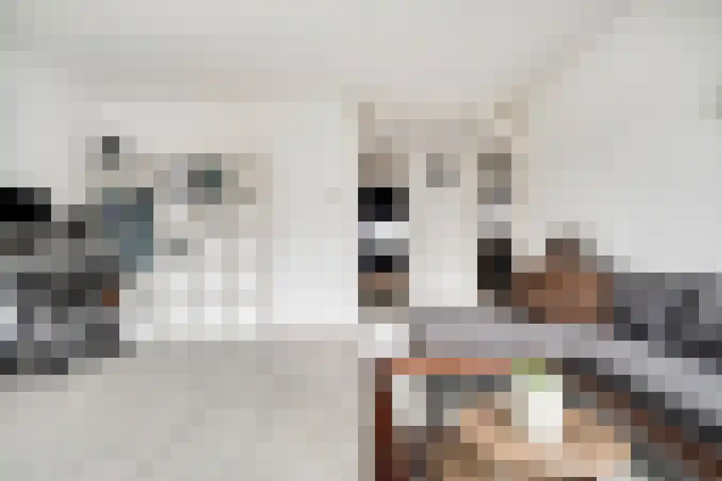 Zalkerbos 218 Zoetermeer thumbnail 6