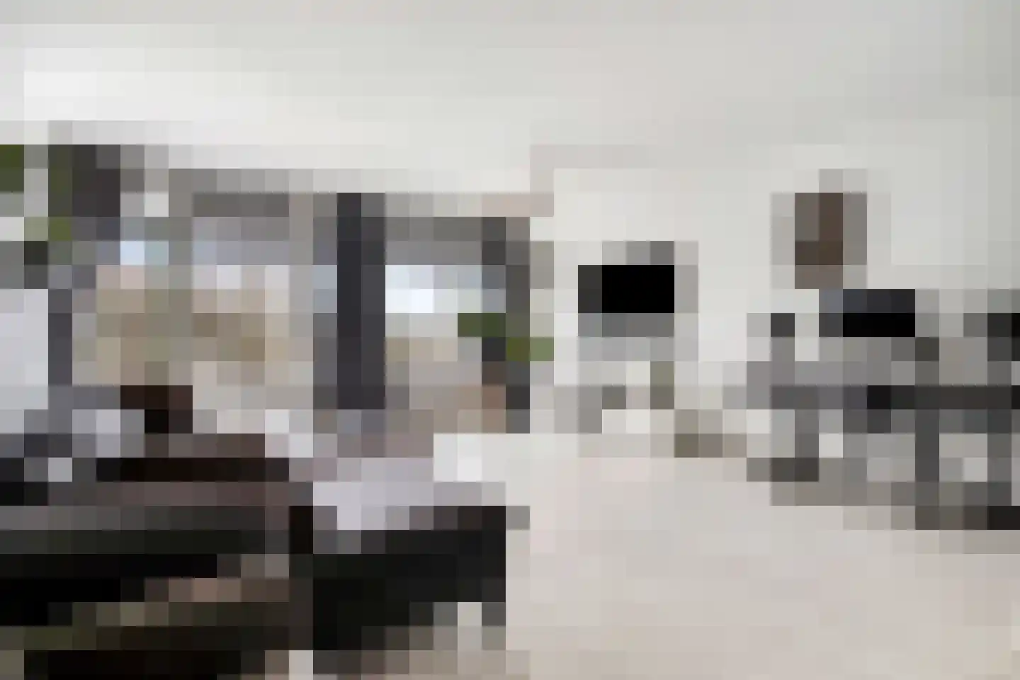 Zalkerbos 218 Zoetermeer thumbnail 7