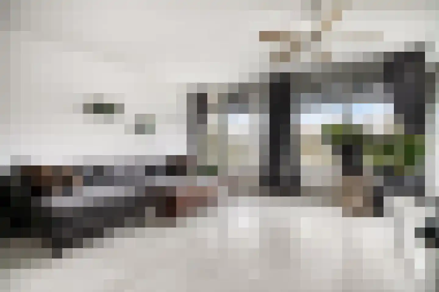 Zalkerbos 218 Zoetermeer thumbnail 8