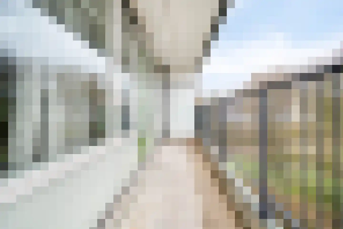 Zalkerbos 218 Zoetermeer thumbnail 9
