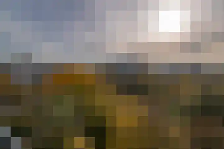 Zalkerbos 295 Zoetermeer thumbnail 10