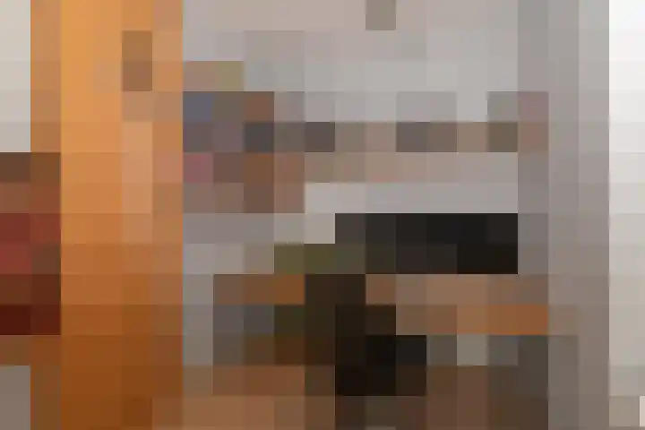 Zalkerbos 295 Zoetermeer thumbnail 7