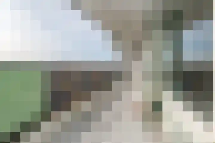 Zalkerbos 295 Zoetermeer thumbnail 9