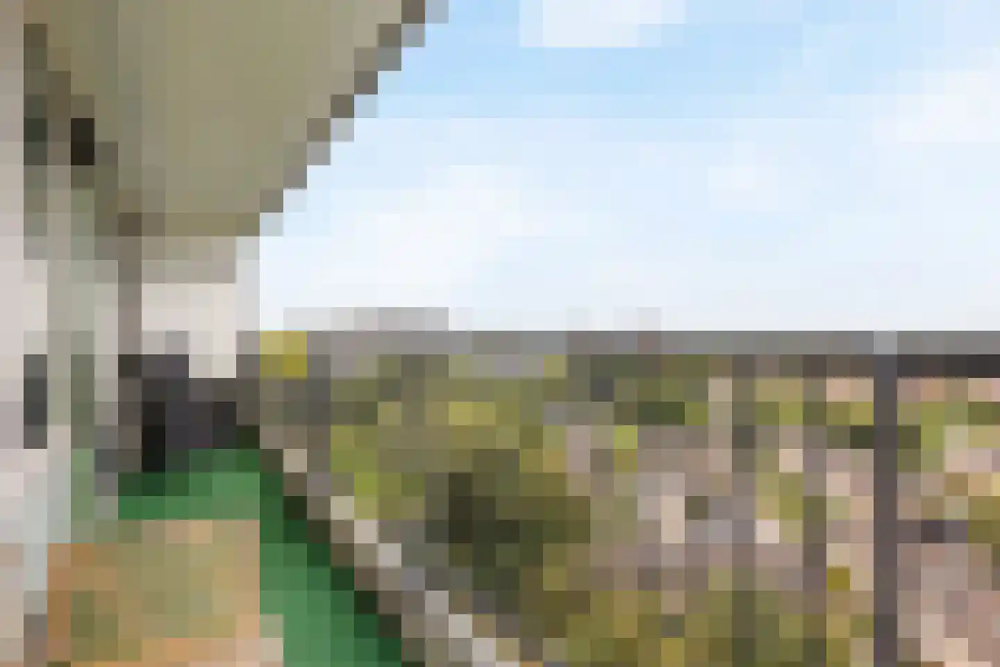 Zalkerbos 299 Zoetermeer thumbnail 11