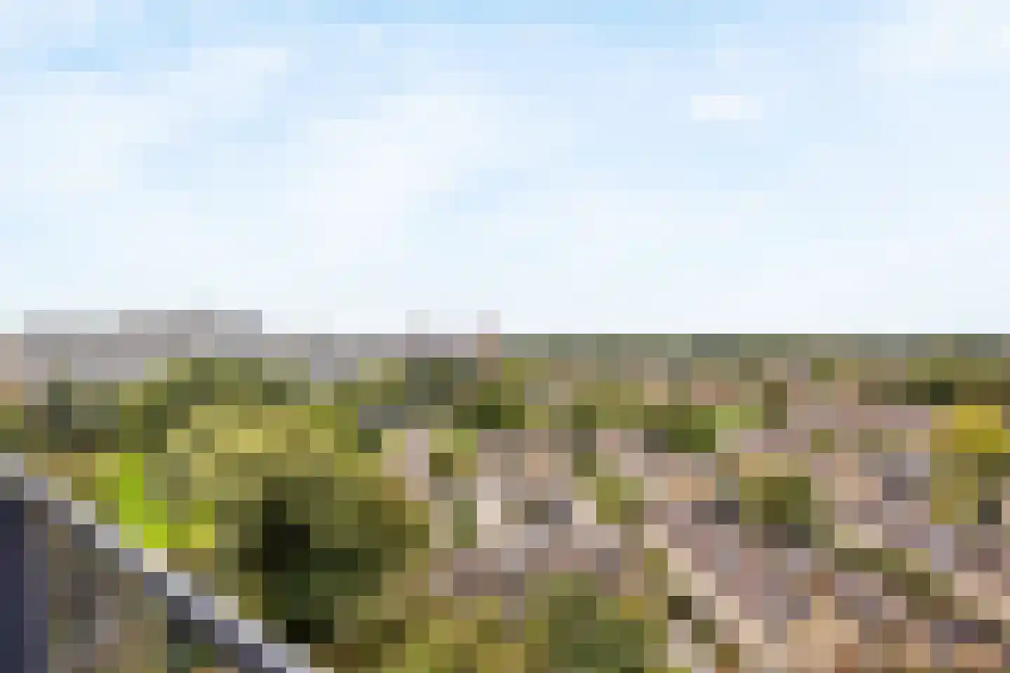 Zalkerbos 299 Zoetermeer thumbnail 12