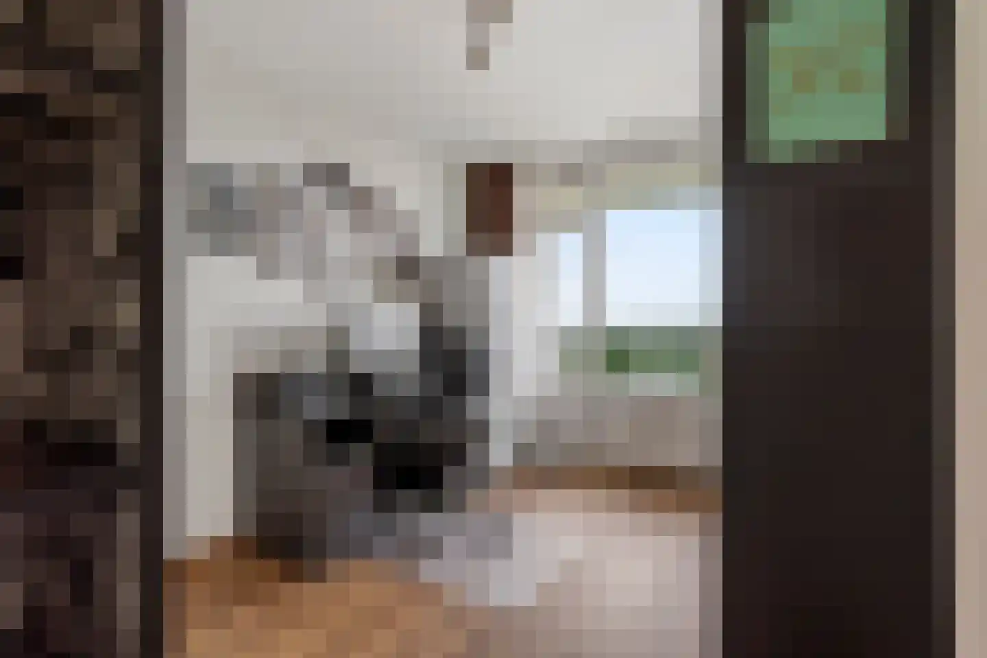 Zalkerbos 299 Zoetermeer thumbnail 20