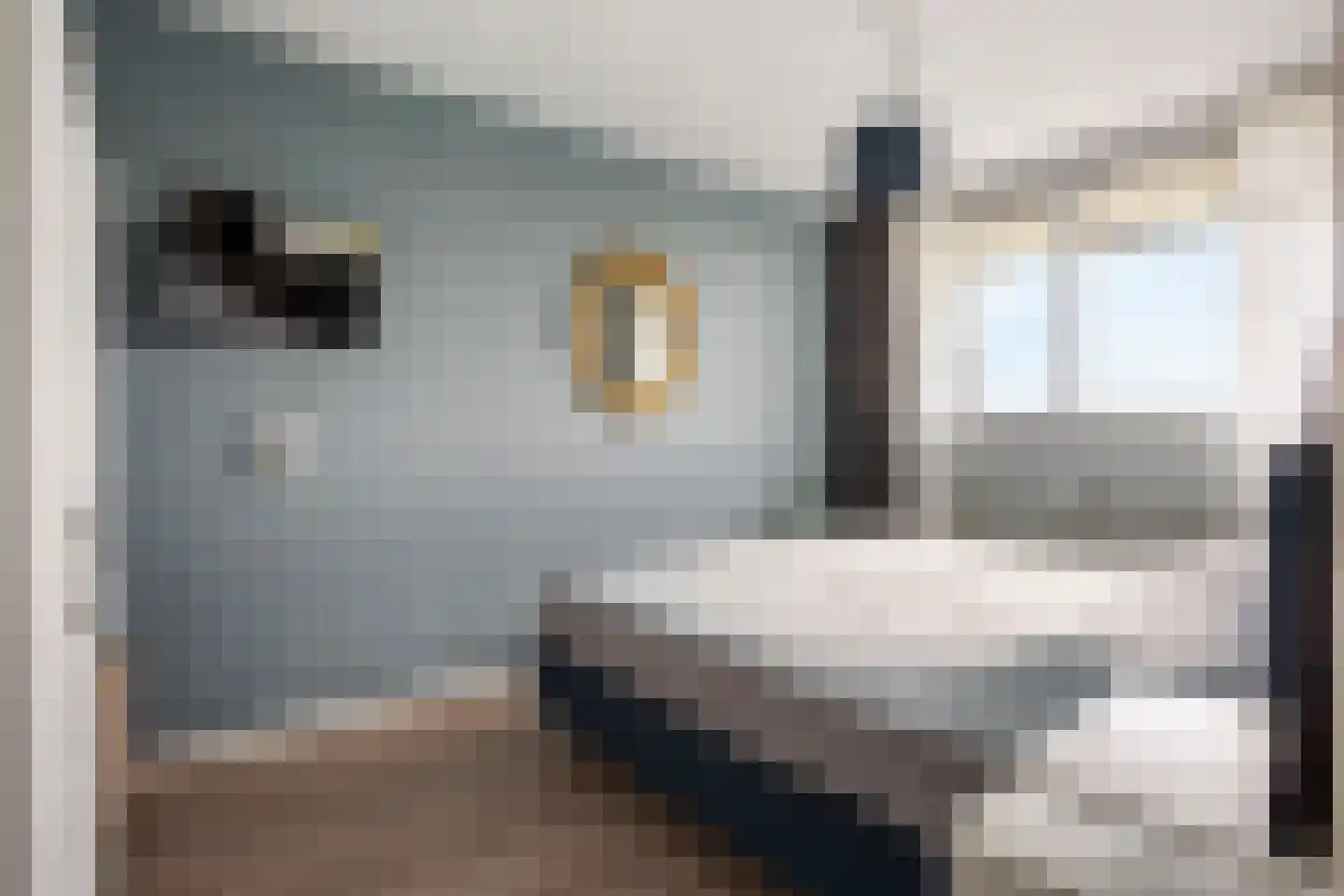 Zalkerbos 299 Zoetermeer thumbnail 22