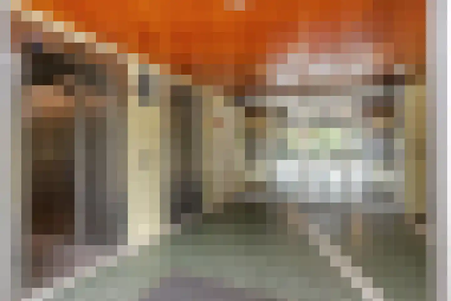 Zalkerbos 299 Zoetermeer thumbnail 27