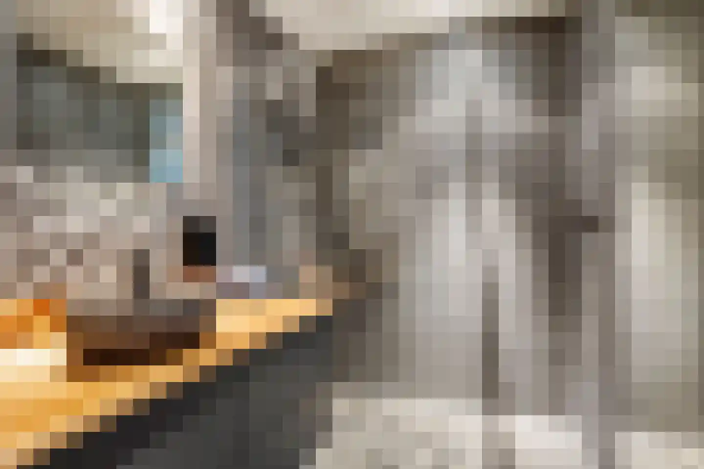 Zalkerbos 299 Zoetermeer thumbnail 5
