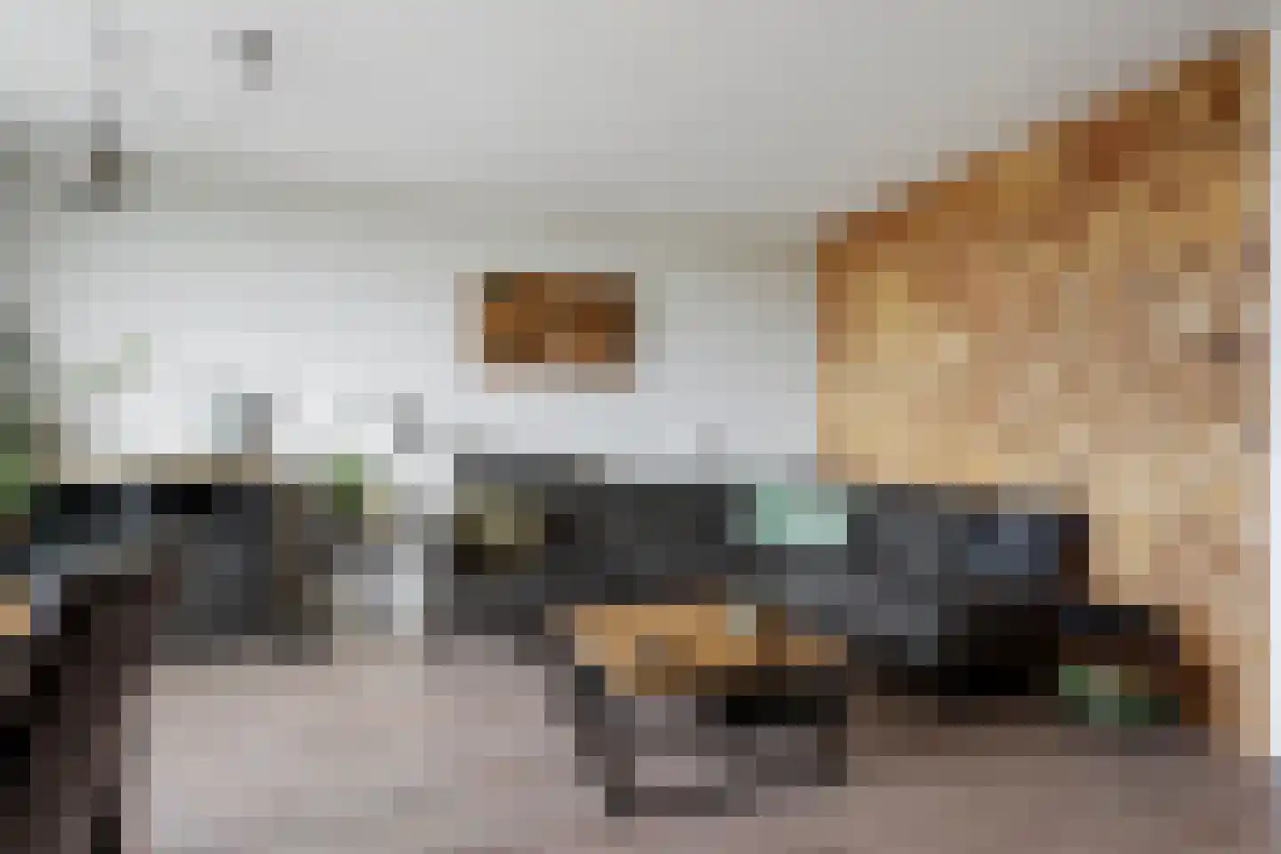 Zalkerbos 299 Zoetermeer thumbnail 8