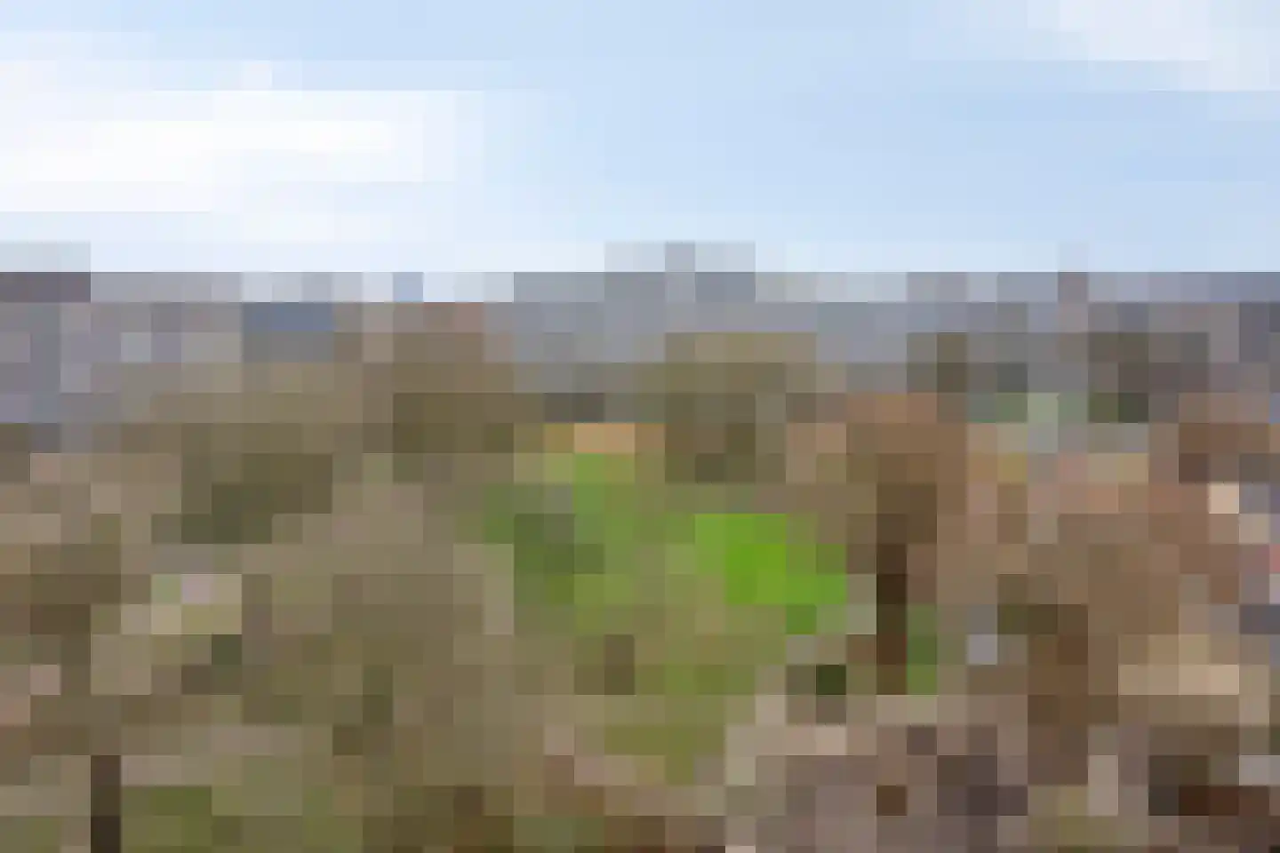 Zalkerbos 301 Zoetermeer thumbnail 23