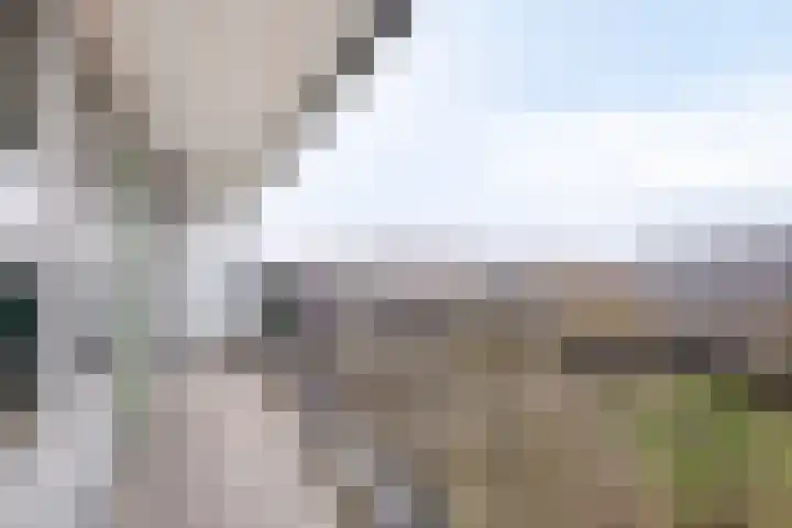 Zalkerbos 301 Zoetermeer thumbnail 24