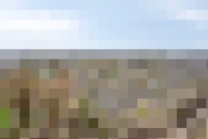 Zalkerbos 301 Zoetermeer thumbnail 26