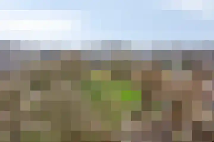Zalkerbos 301 Zoetermeer thumbnail 27
