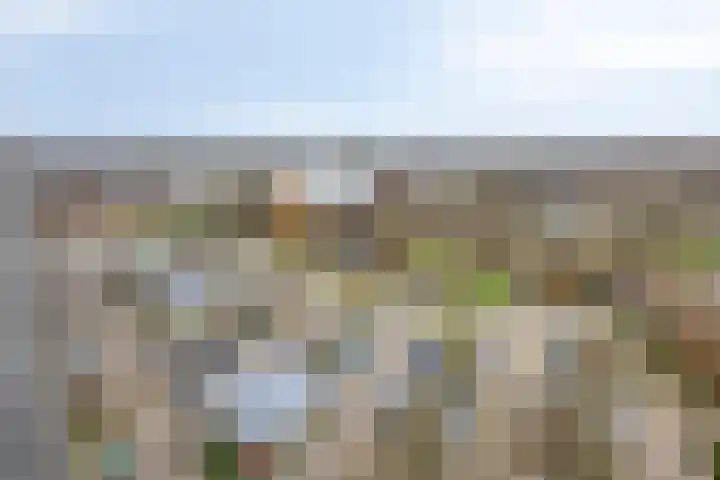 Zalkerbos 301 Zoetermeer thumbnail 28