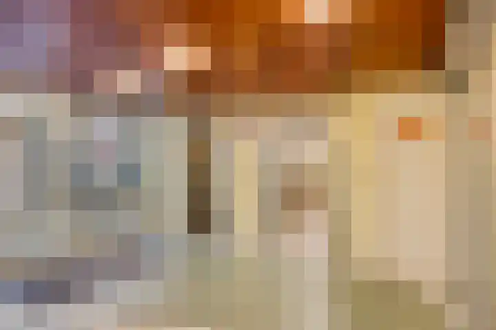 Zalkerbos 301 Zoetermeer thumbnail 4