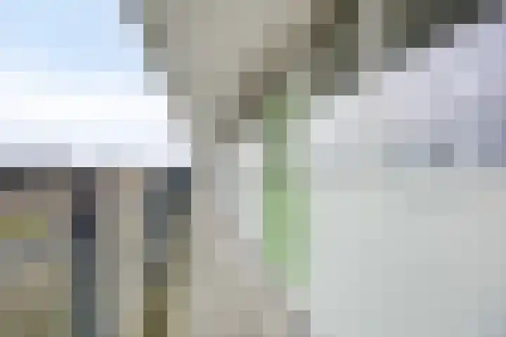 Zalkerbos 301 Zoetermeer thumbnail 5