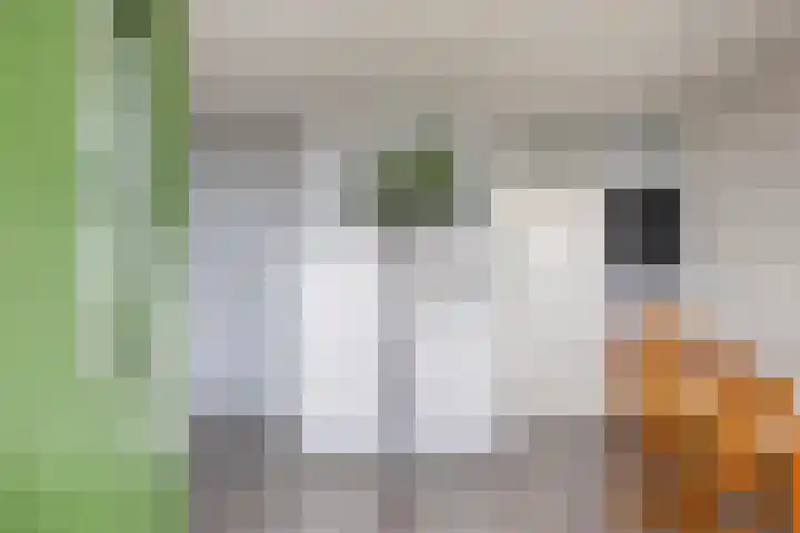 Zalkerbos 301 Zoetermeer thumbnail 6