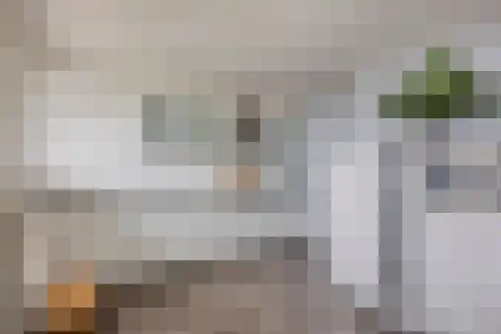 Zalkerbos 301 Zoetermeer thumbnail 7
