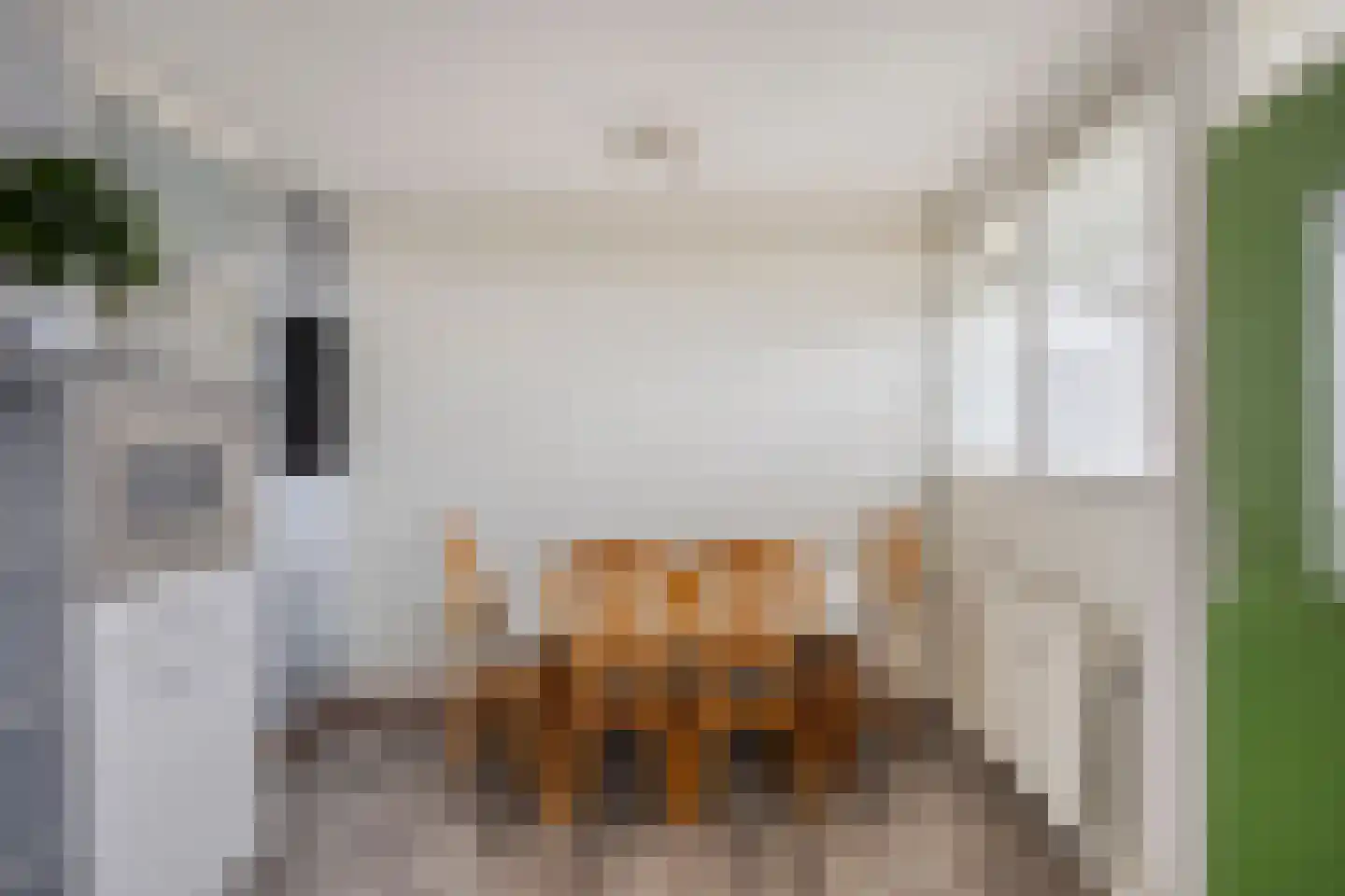 Zalkerbos 301 Zoetermeer thumbnail 8
