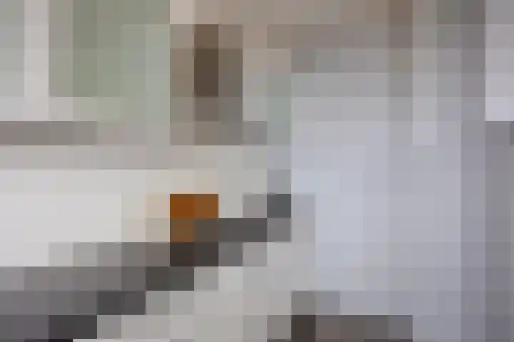 Zalkerbos 301 Zoetermeer thumbnail 9