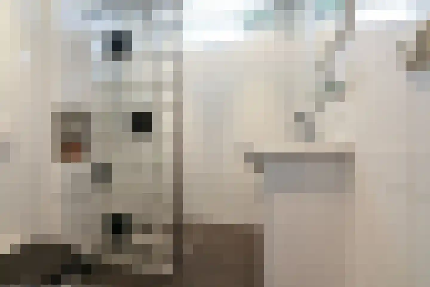 Zalkerbos 35 Hoofddorp thumbnail 30