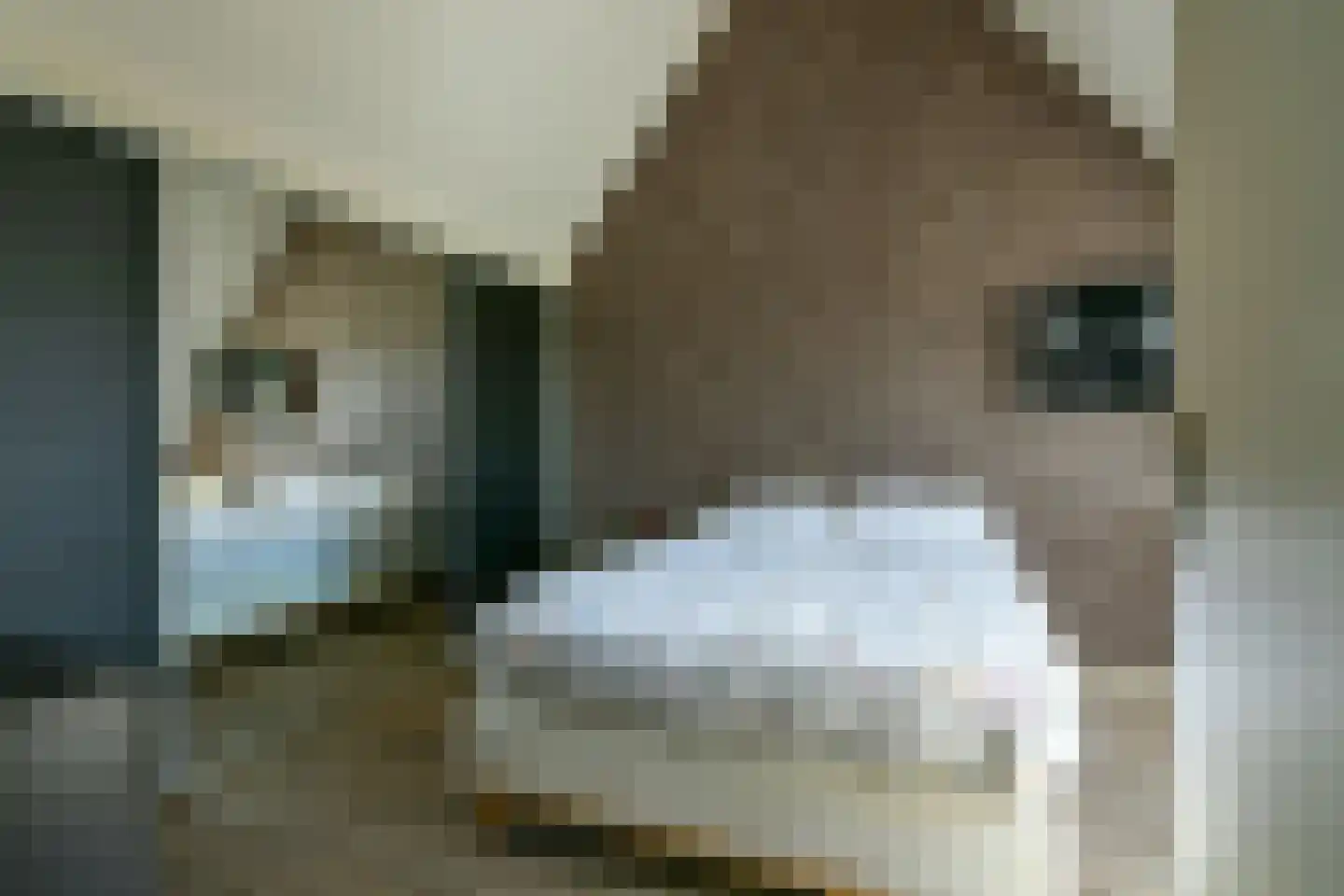 Zalkerbos 35 Hoofddorp thumbnail 32