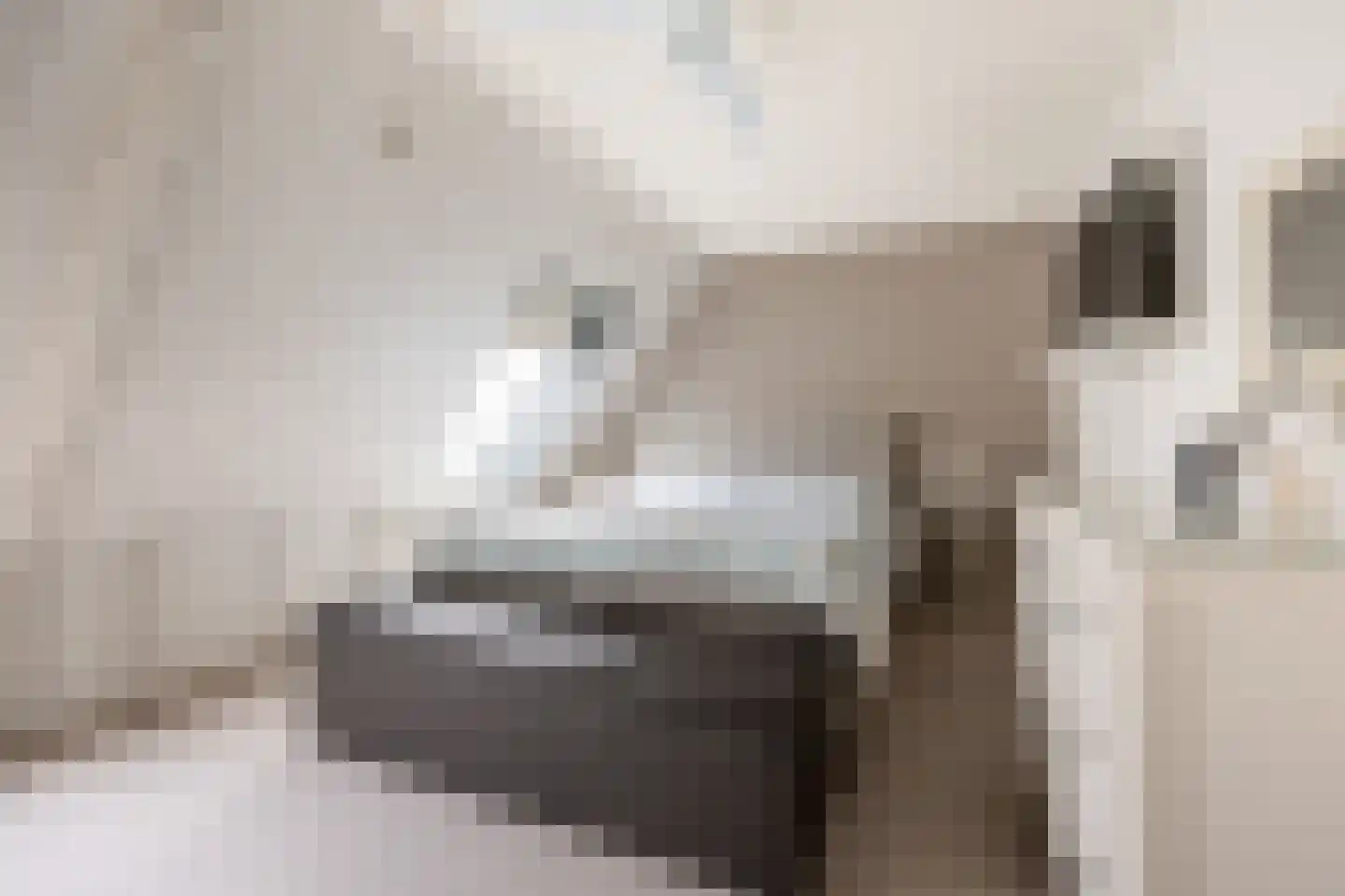 Zalkerbos 36 Hoofddorp thumbnail 16