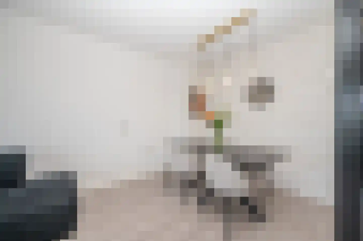 Zalkerbos 38 Zoetermeer thumbnail 6