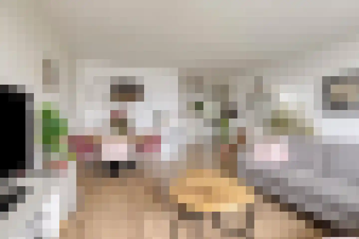 Zalkerbos 46 Zoetermeer thumbnail 14