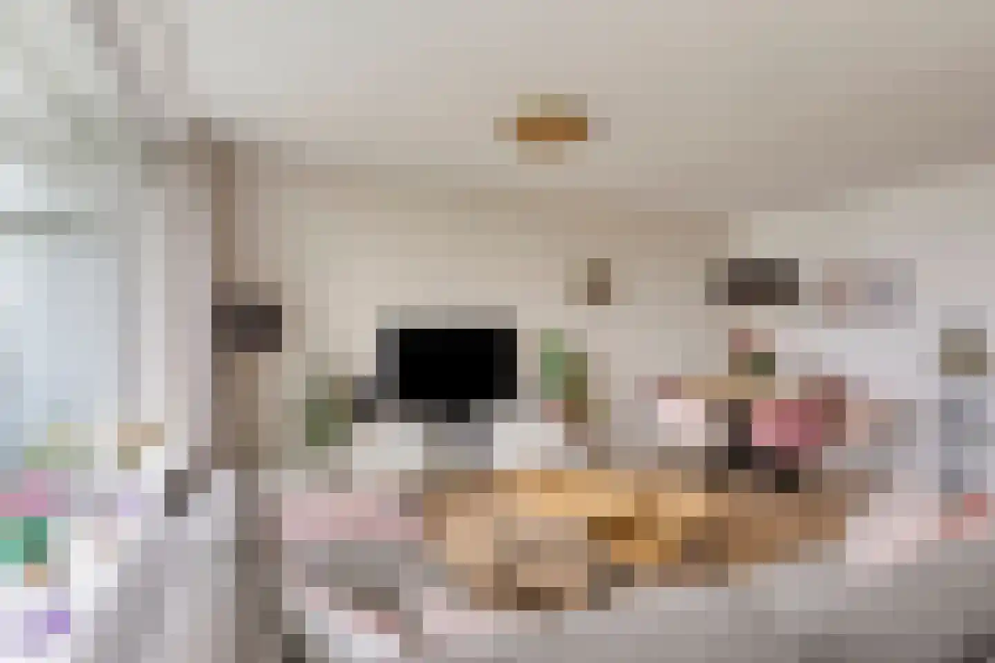 Zalkerbos 46 Zoetermeer thumbnail 16
