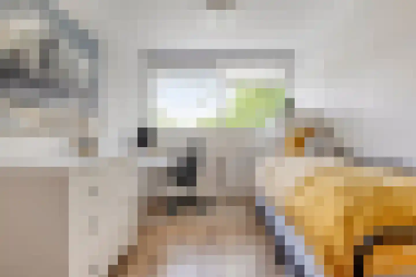 Zalkerbos 46 Zoetermeer thumbnail 31
