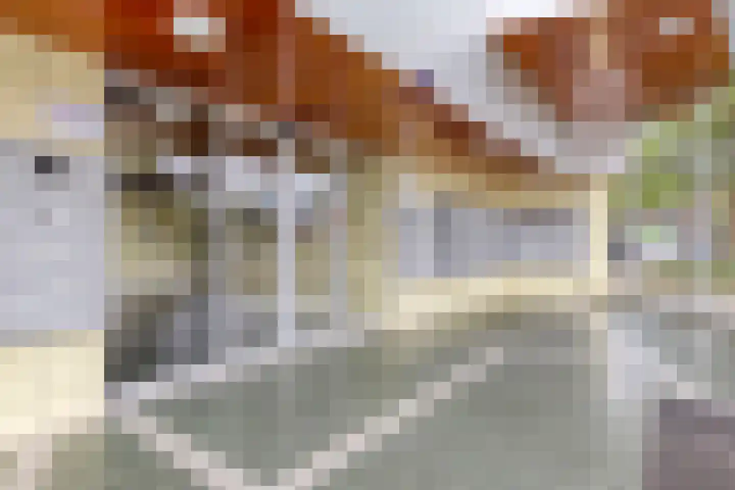 Zalkerbos 46 Zoetermeer thumbnail 6