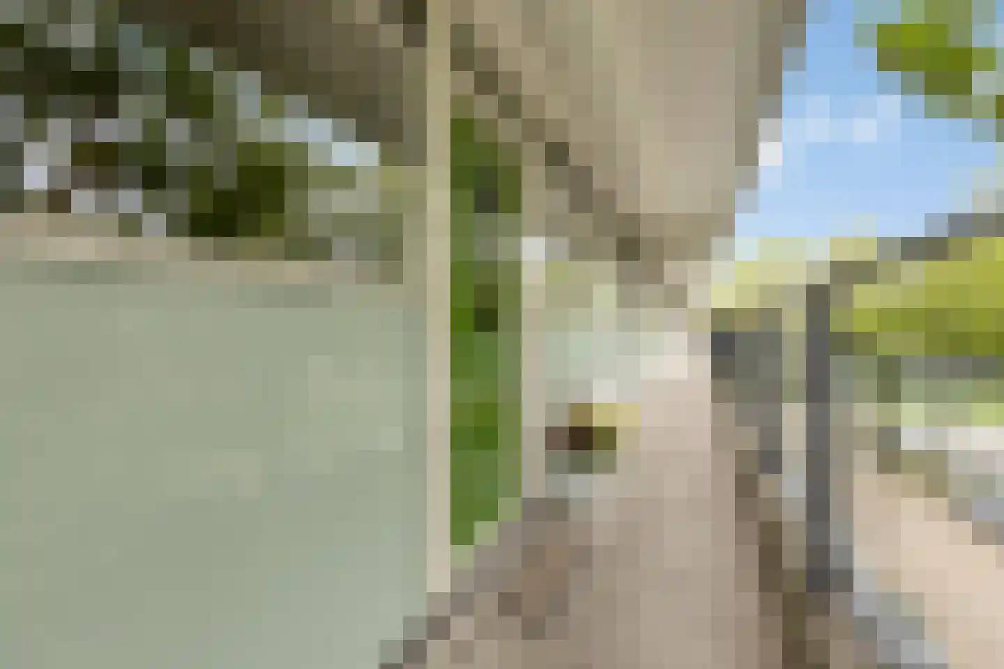 Zalkerbos 46 Zoetermeer thumbnail 7