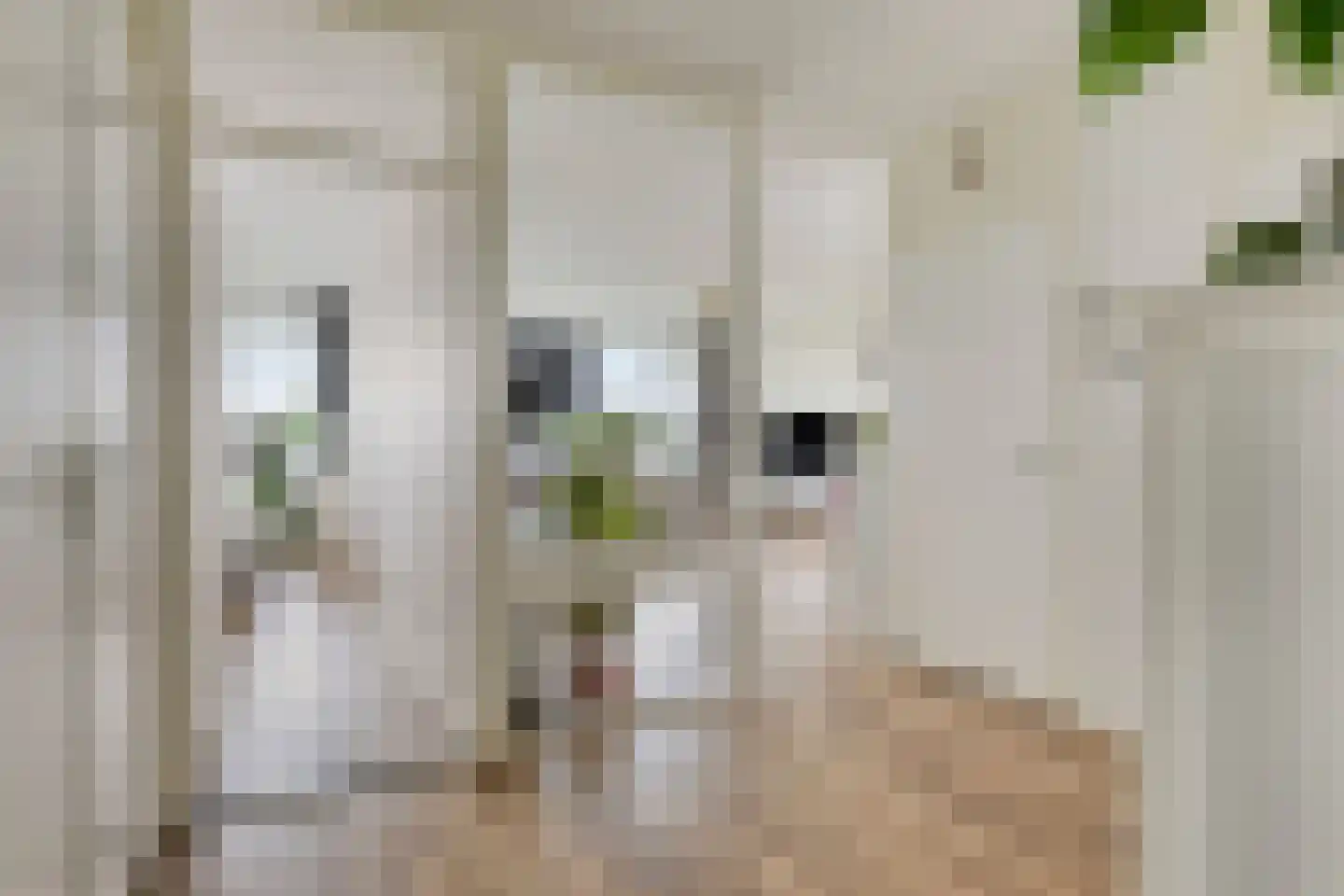 Zalkerbos 46 Zoetermeer thumbnail 8