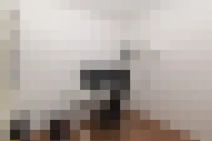 Zalkerbos 48 Zoetermeer thumbnail 10