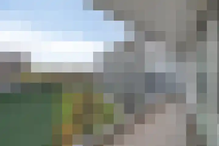 Zalkerbos 80 Zoetermeer thumbnail 22