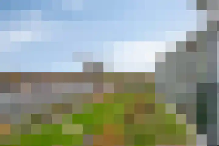 Zalkerbos 80 Zoetermeer thumbnail 23