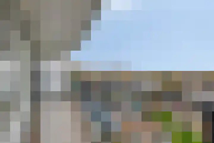 Zalkerbos 80 Zoetermeer thumbnail 25