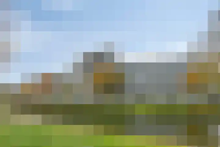Zalkerbos 80 Zoetermeer thumbnail 31