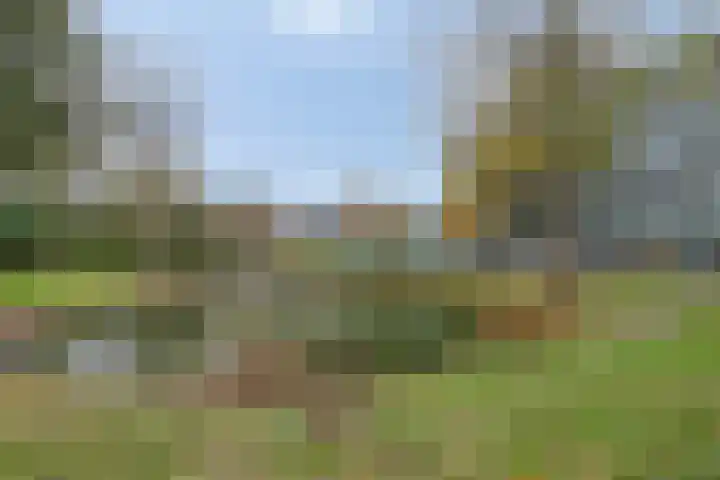 Zalkerbos 80 Zoetermeer thumbnail 32