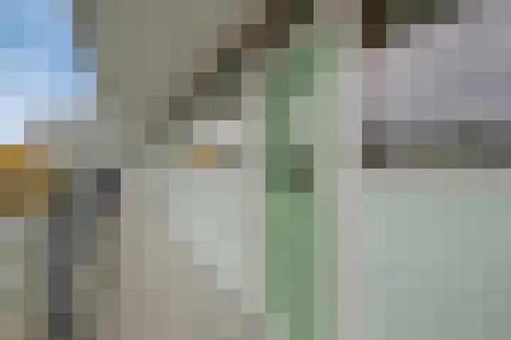 Zalkerbos 80 Zoetermeer thumbnail 7