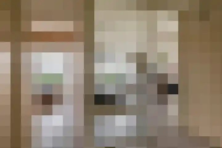 Zalkerbos 91 Zoetermeer thumbnail 10
