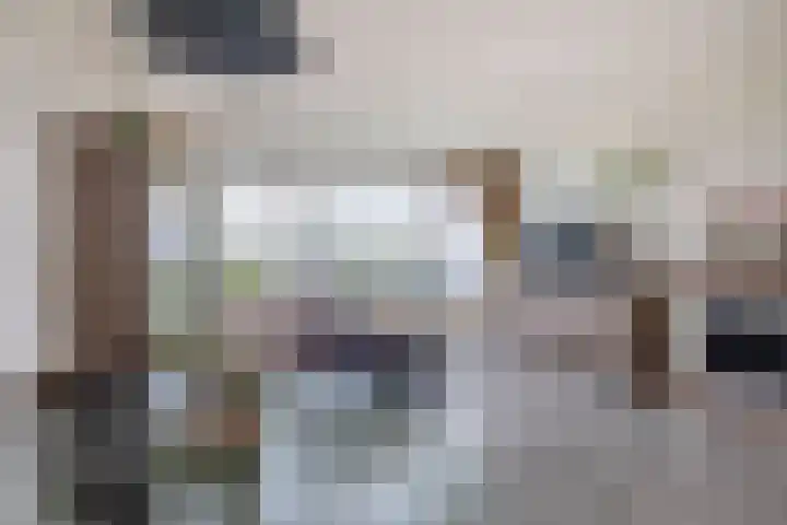 Zalkerbos 91 Zoetermeer thumbnail 11