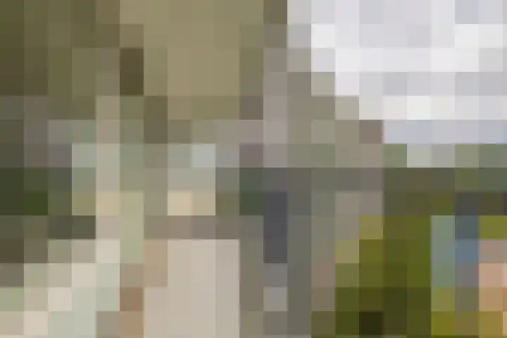 Zalkerbos 91 Zoetermeer thumbnail 26